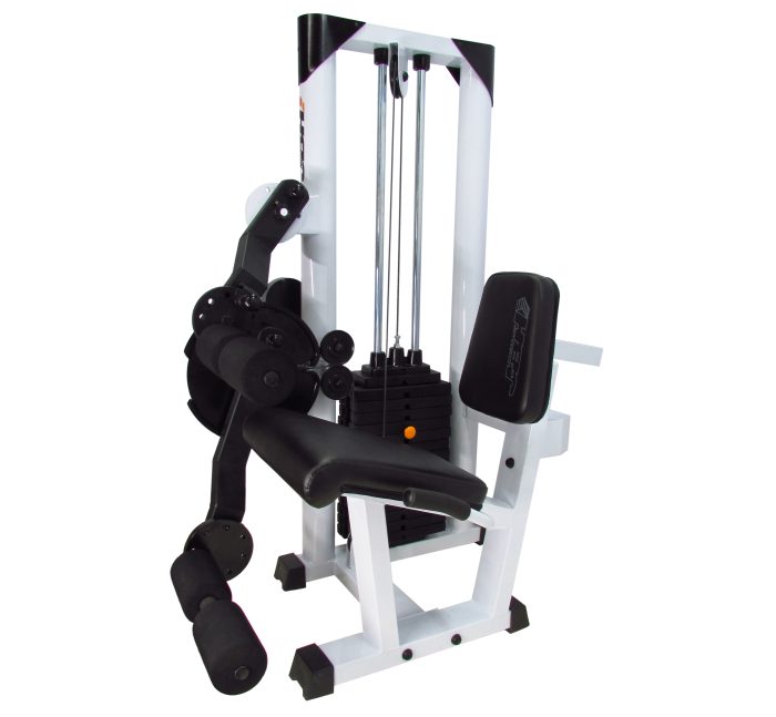 sillon-combinado-gold Sillón de cuádriceps y femoral - Imagen 1