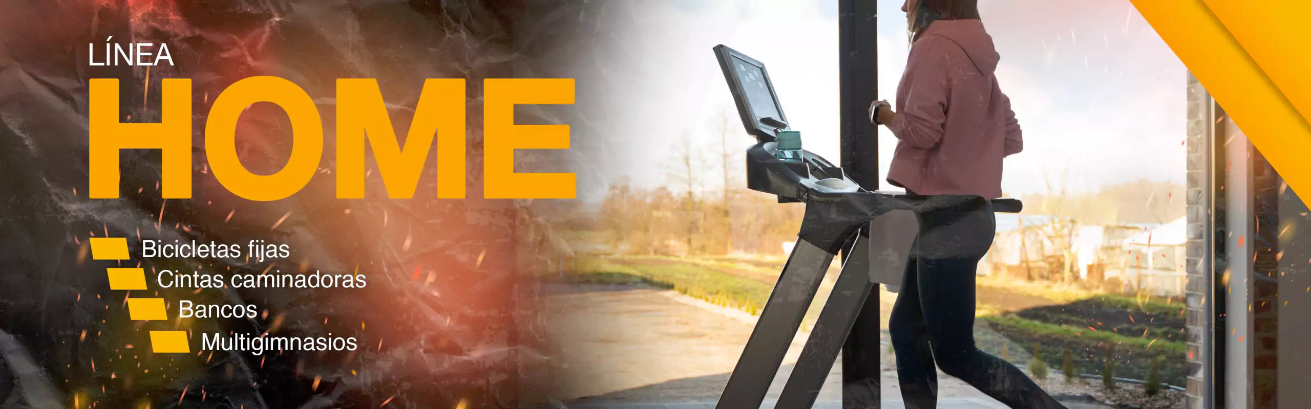 Equipamiento de gimnasios