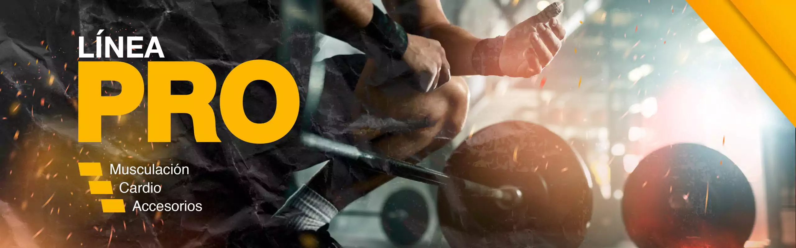 Equipamiento de gimnasios Linea pro
