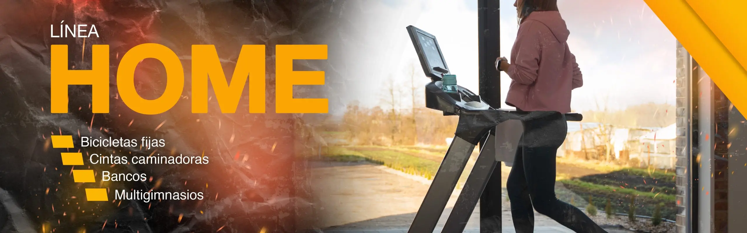 Equipamiento de gimnasios