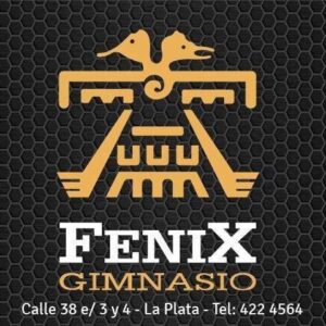 Fenix (La Plata)